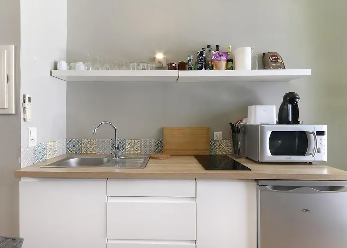 Joli Appartement Aux Beaux Arts Loft Avec Terrasse